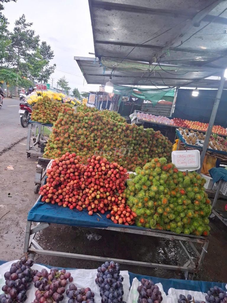 Bán nhà đất mặt tiền Quốc Lộ 61, Cái Tắc, 4000m² - Khu vực sung túc, tiềm năng lớn!