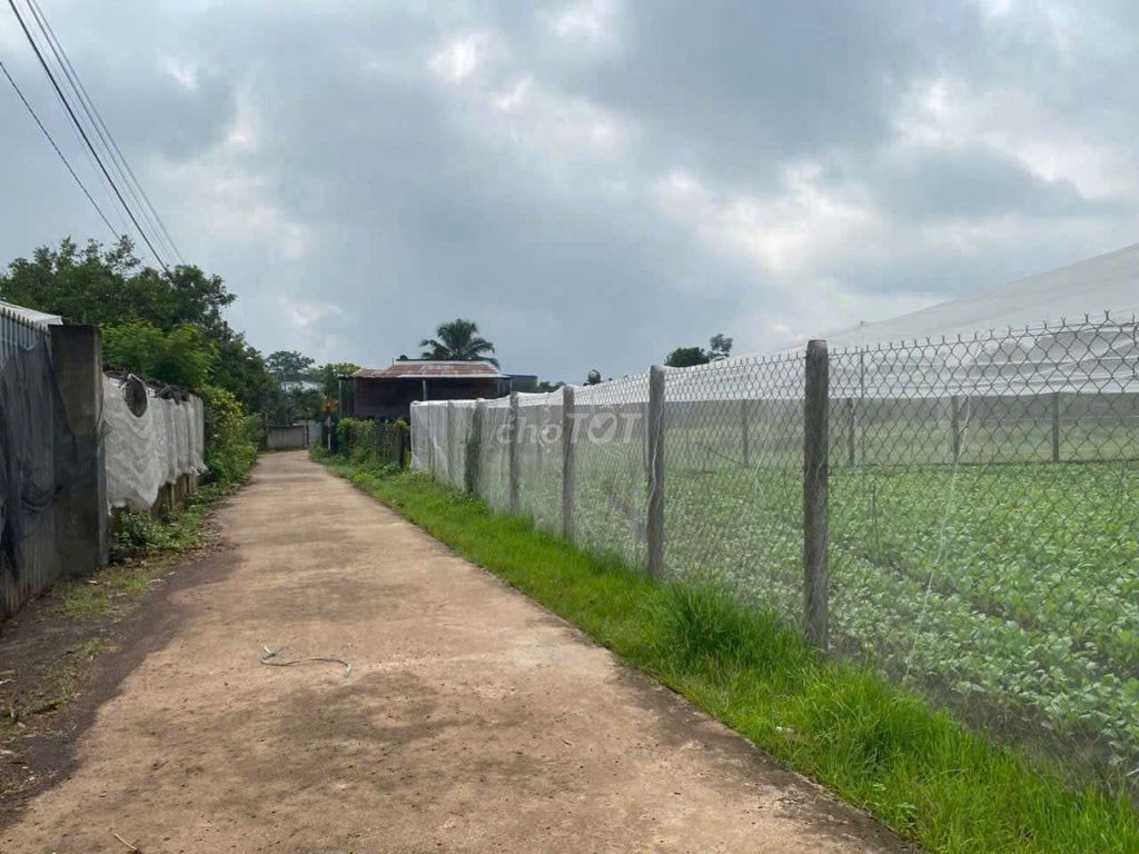 Đất thổ cư Xuân Phú 165,2m² giá 695 triệu - Đầu tư sinh lời chắc chắn!