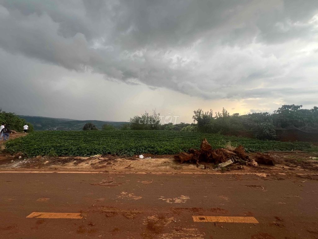 Đất nghỉ dưỡng 2,4 hecta tại Liên Hà, Lâm Đồng - Địa thế cao thoáng, view đẹp!