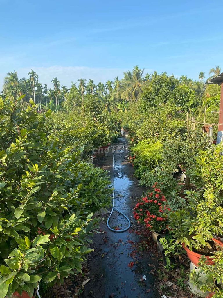 Đất sổ hồng 1204m² tại Nhị Bình 15, Hóc Môn - Giá chỉ 9.632 tỷ