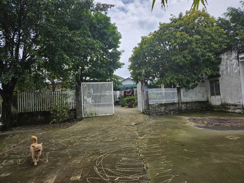 Nhà cho thuê mặt tiền đường Bàu Tre, Củ Chi 2000m² - Gần trung tâm Sài Gòn!