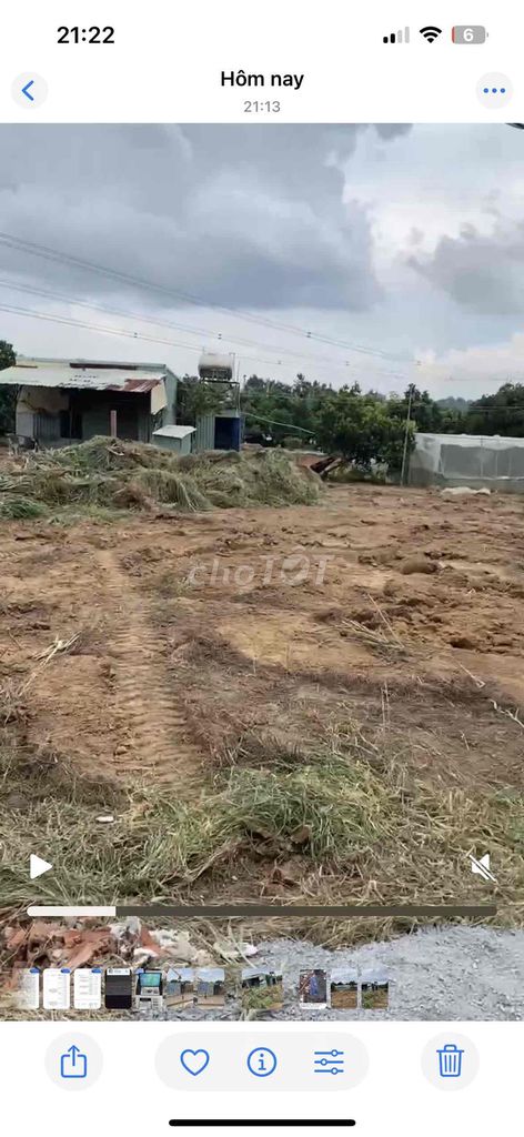 Đất trồng cây 3000m² tại Thới Hòa, Bến Cát - Giá thuê chỉ 5 triệu!