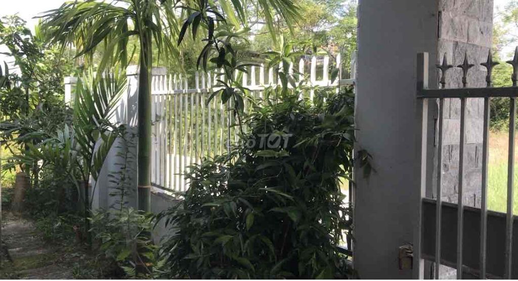 Nhà vườn cho thuê tại Hòa Phong, Đà Nẵng 600m² - Không gian yên tĩnh, đầy đủ nội thất!