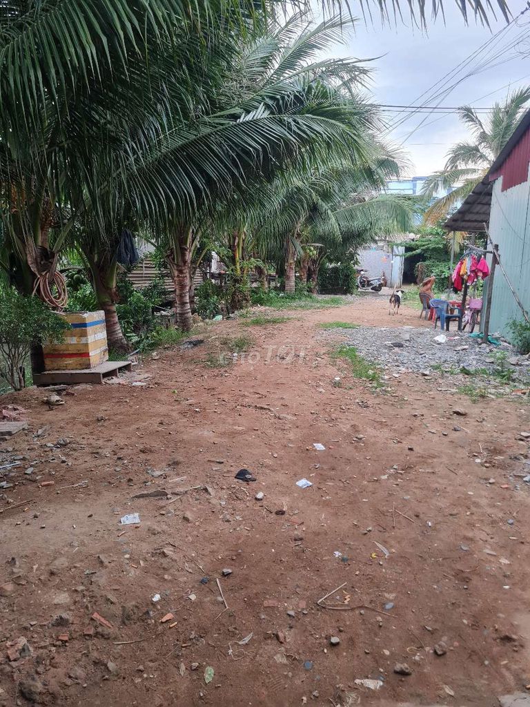 Kho xưởng cho thuê tại Tân Kiên Bình Chánh 1000m² - Đường xe rộng rãi