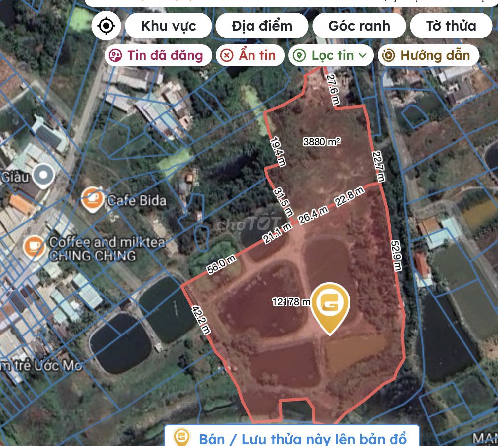 Đất mặt tiền đường Tân Tập Long Hậu 16000m² giá 45 tỷ - Tiềm năng thương mại lớn!