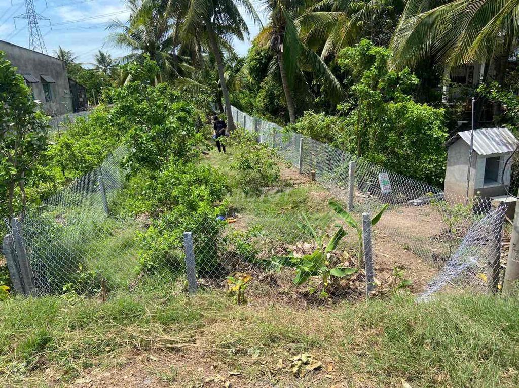 Đất nền 5.5m x 40.5m tại An Cư, Cái Bè, Tiền Giang - Sổ hồng chính chủ, giá 738 triệu