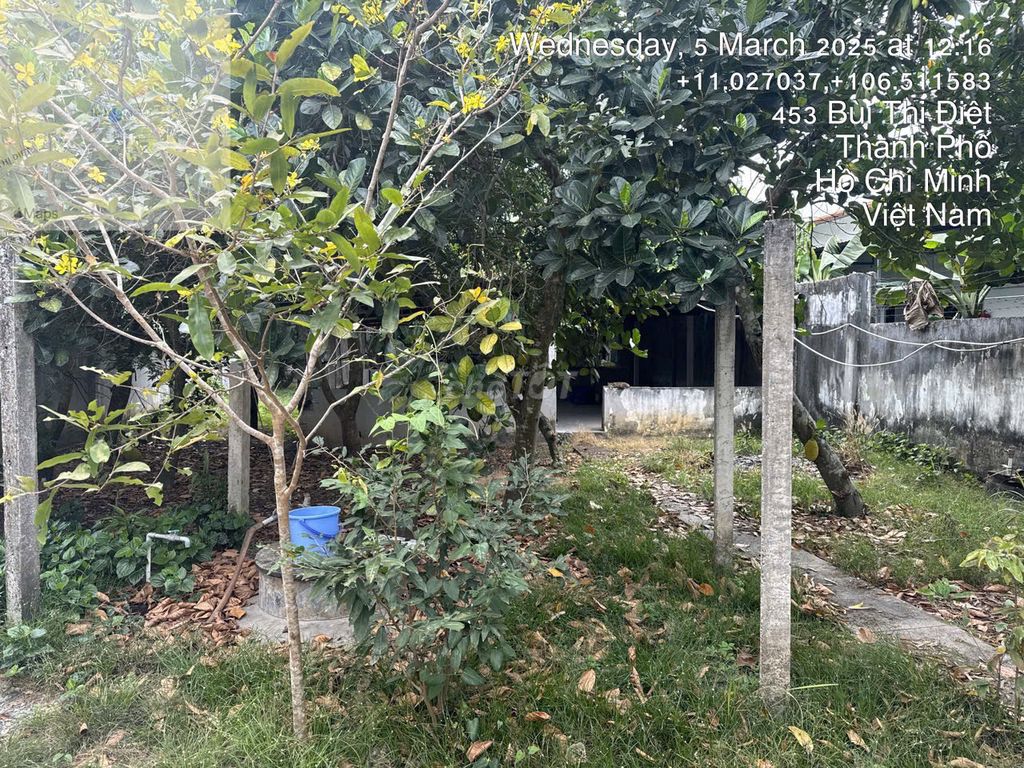 Bán nhà mặt tiền đường Bùi Thị Điệt, huyện Củ Chi 800m² - Pháp lý hoàn chỉnh, giá tốt!