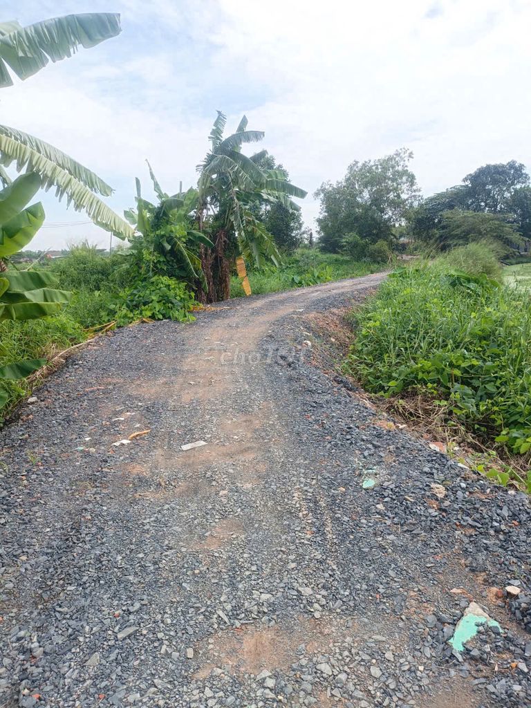 Bán đất nông nghiệp 871m² - Đông Thạnh, Hóc Môn - Giá chỉ 4.2 tỷ