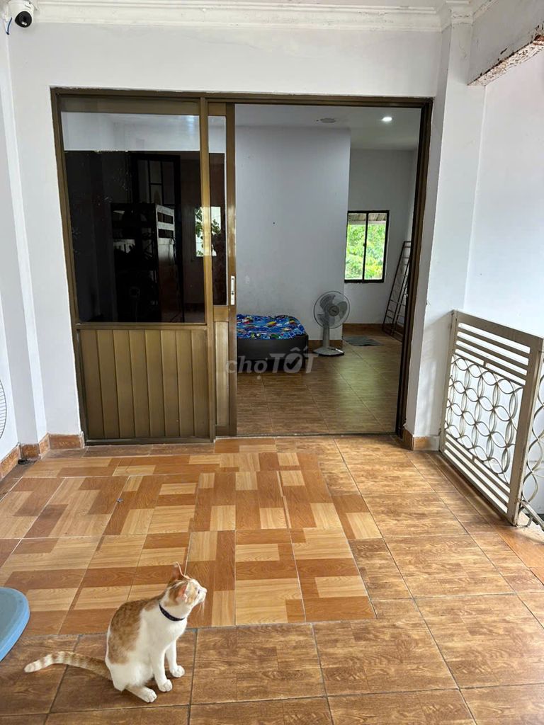 Phòng trọ 20m² tại Quận 12 - Dành cho sinh viên và nhân viên văn phòng nữ
