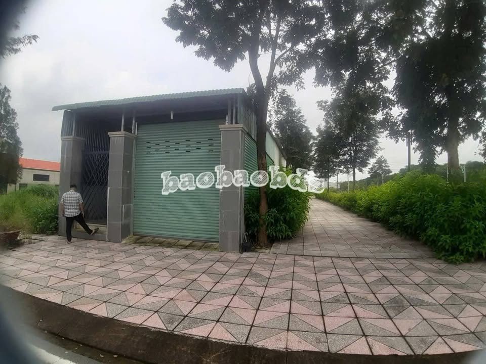 Nhà cho thuê Cát Tường Phú Hưng Đồng Xoài 2PN giá 5 triệu - Sẵn sàng vào ở!