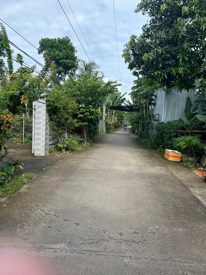 Nhà cấp 4 Lấp Vò 210m² giá 690 triệu - Cơ hội vàng cho đầu tư!