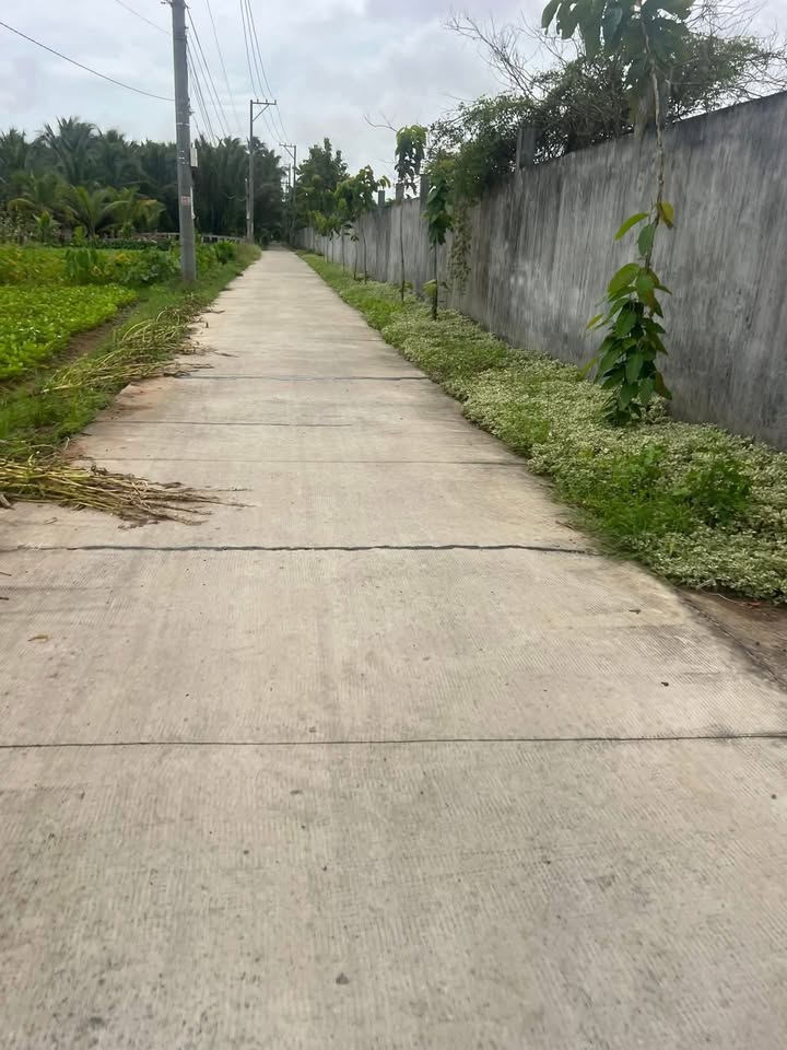 Đất nền Lộc Thuận, Bình Đại 504m² giá 810 triệu - Sổ đỏ chính chủ!