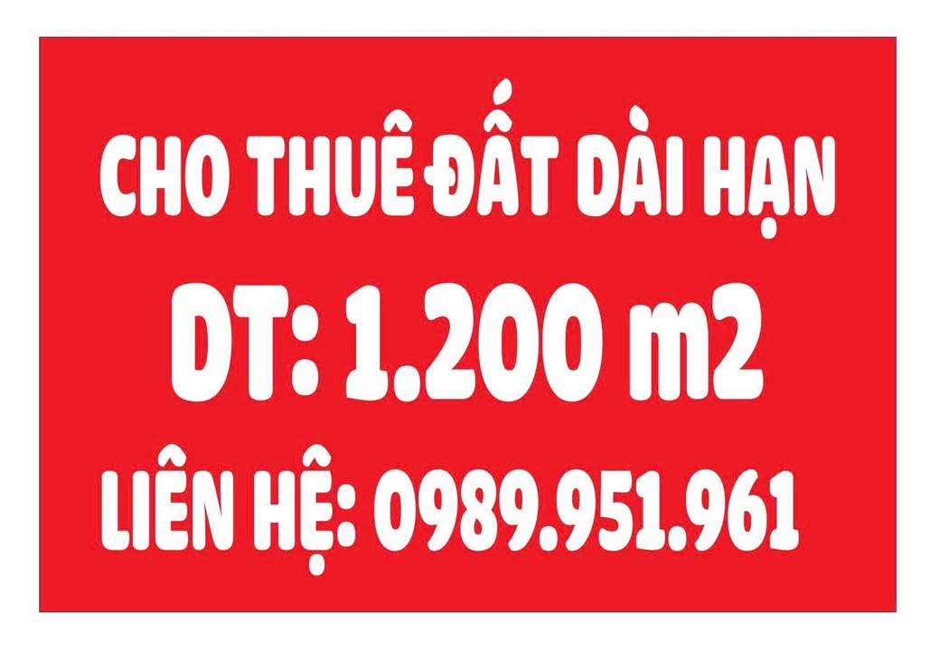 Đất mặt tiền cho thuê tại QL1A, Bắc Bình - Diện tích 1.230m², phòng kinh doanh lý tưởng!