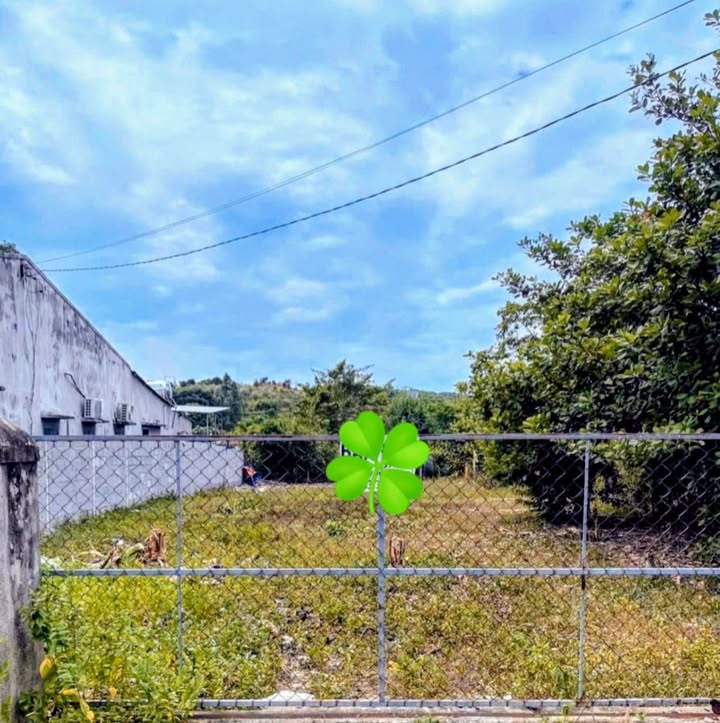 Bán đất Cam Phước Tây 444m² giá 2.8 tỷ - Sổ đỏ chính chủ, xây dựng tự do!