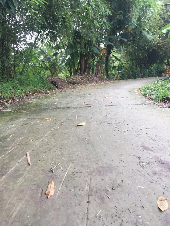 Đất nền Định Hòa, Lai Vung 556m² giá 650 triệu - Đầu tư sinh lời ngay!