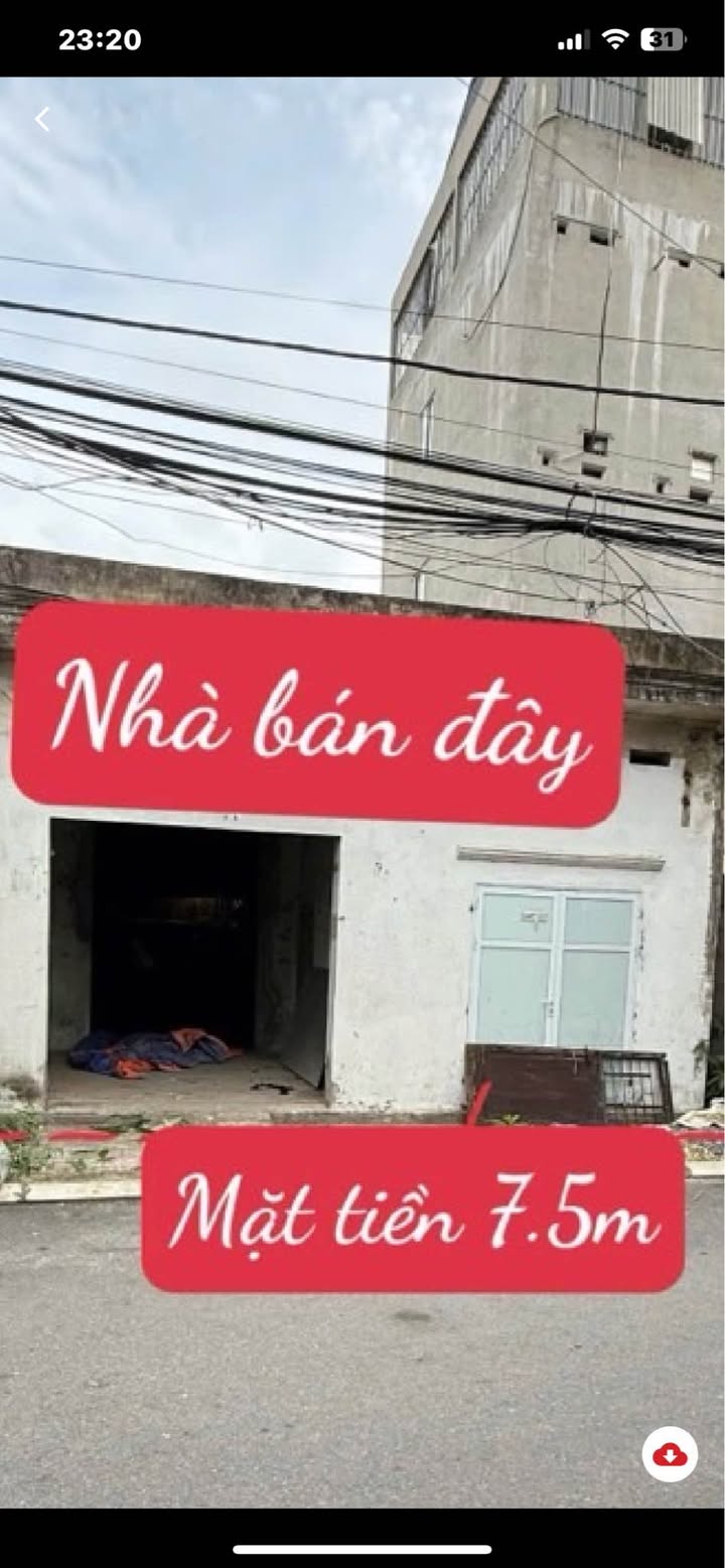 Đất Lệ Chi Gia Lâm 165m² - Sổ đỏ chính chủ, đầu tư sinh lời ngay!