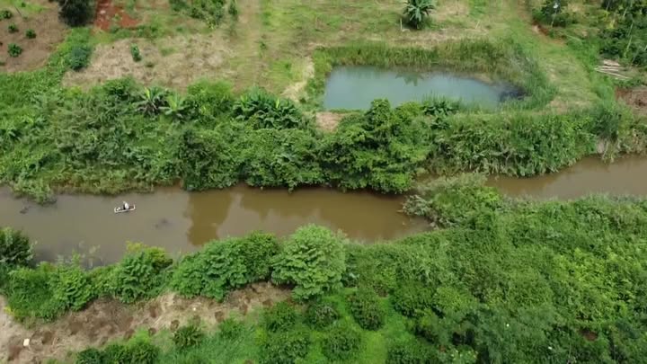 Đất nền 1.7ha mặt tiền đường nhựa tại Đắk Wer giá chỉ 2.3 tỷ - Cơ hội đầu tư hấp dẫn!