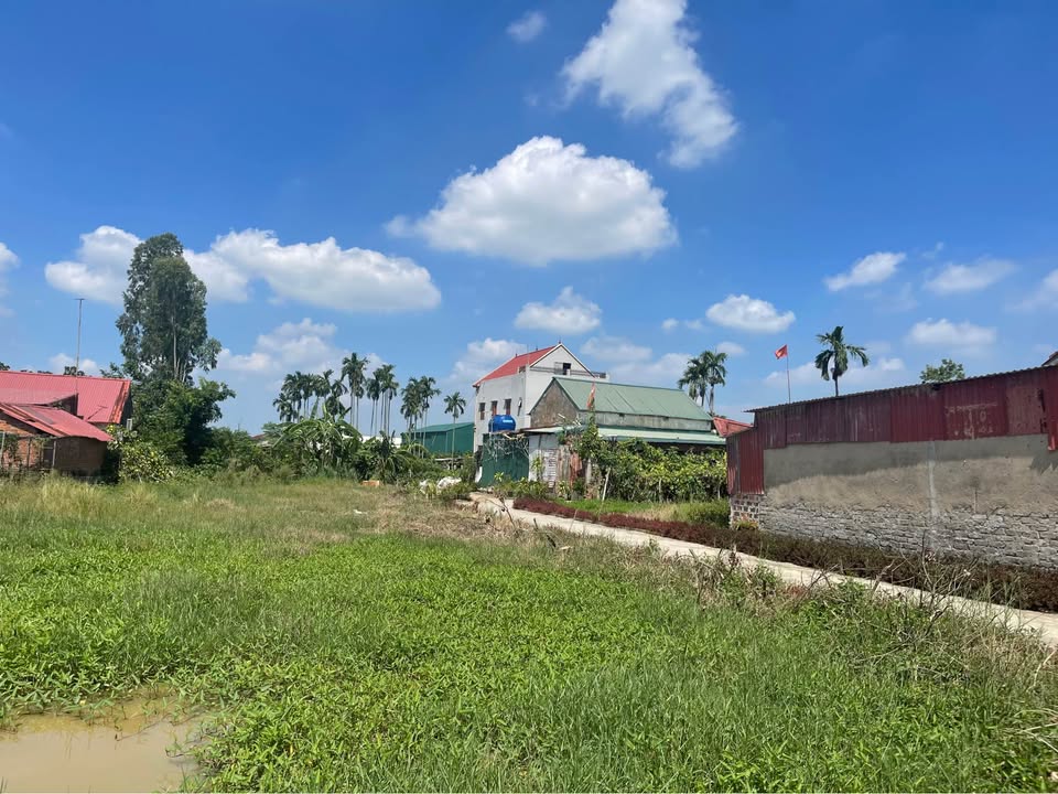 Đất 2 mặt tiền tại Thôn Quàn, Bình Giang 83m² giá chỉ 600 triệu - Cơ hội đầu tư tuyệt vời!