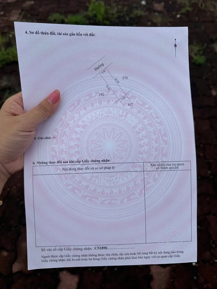 Đất nền KDC số 10 xã Đình Cao 100m² - Sổ đỏ chính chủ, đầu tư sinh lời!