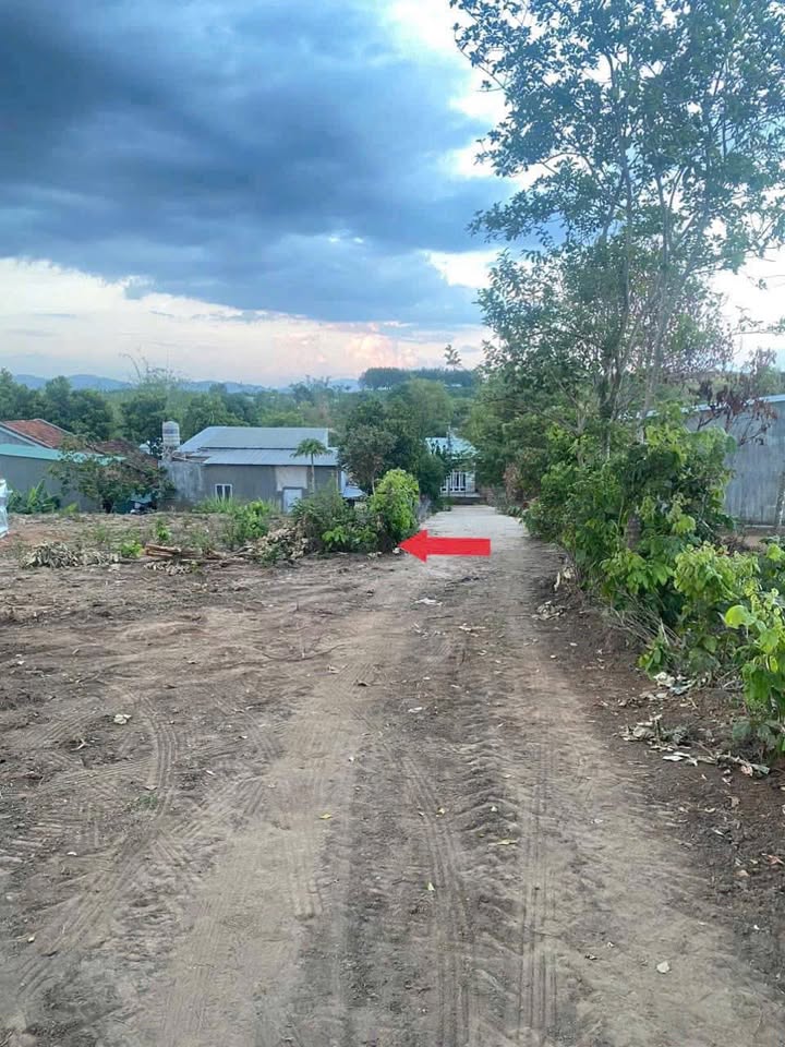 Đất mặt đường bê tông thôn 8, Đoàn Kết, Kon Tum 130m² - Giá chỉ 200 triệu!