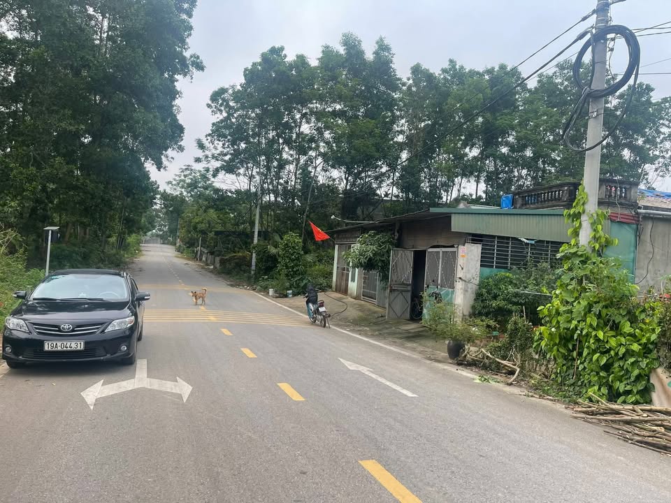 Lô đất 150m² khu An Ninh Thượng - Văn Lung, Phú Thọ giá chỉ 1,2 tỷ - Đầu tư sinh lời ngay!