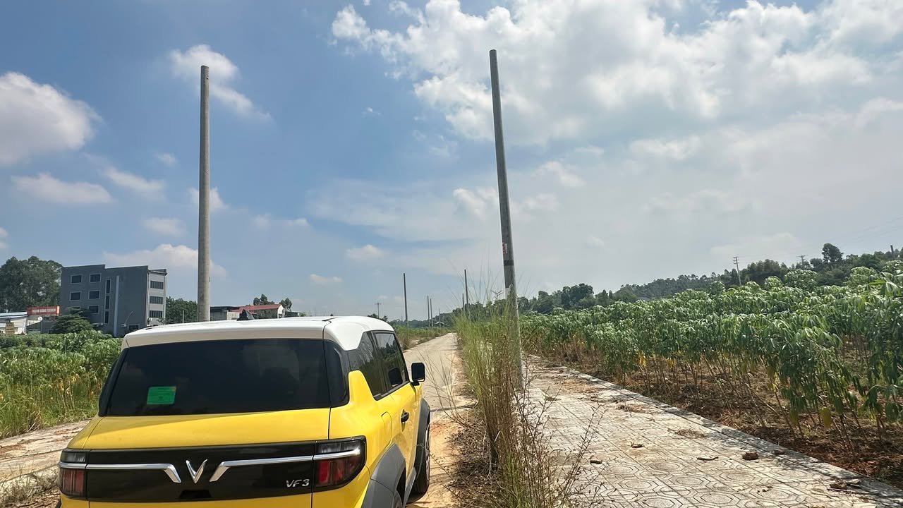 Đất thổ cư Tiên Kiên, 100m² giá 800 triệu - Cơ hội đầu tư tuyệt vời!