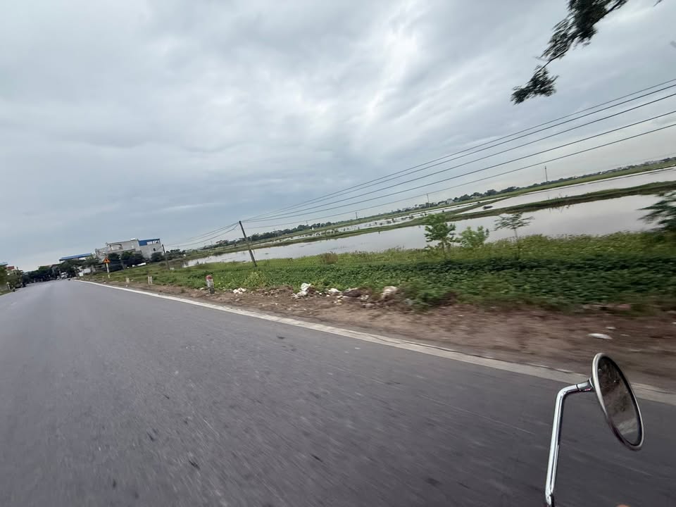 Đất mặt đường 55, Nam Cường, 21.000m² giá 5 tỷ - Cơ hội đầu tư tuyệt vời!