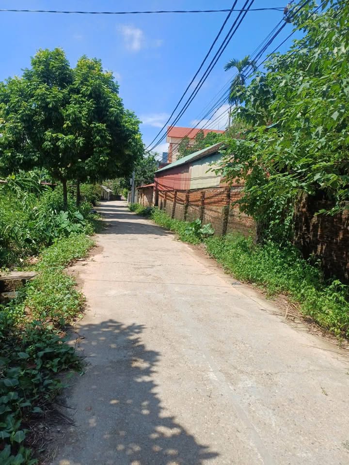 Đất Thượng Cốc, Phúc Thọ 100m² giá chỉ 3x triệu/m² - Cơ hội đầu tư sinh lời cao!