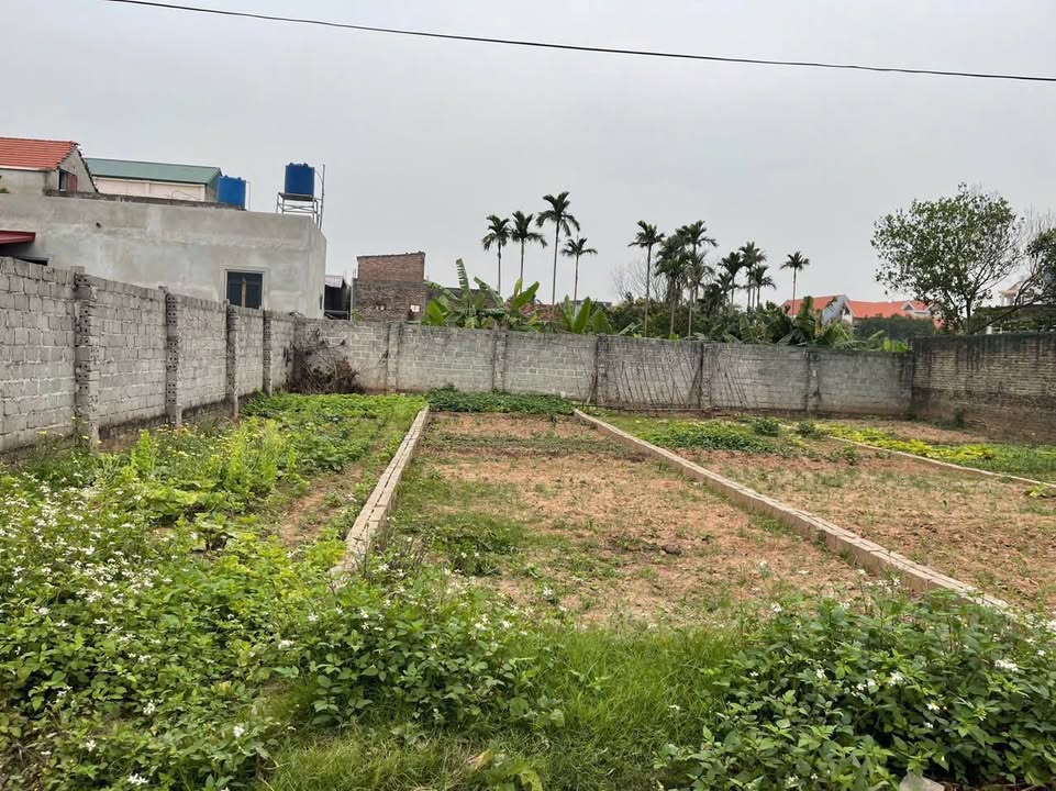 Đất thổ cư 81m² tại Thôn Kiến Châu, Hưng Yên - Giá chỉ 2 tỷ, sổ đỏ chính chủ!