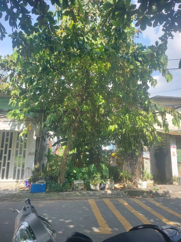 Đất mặt tiền Đặng Thúc Vịnh, Hóc Môn 124.2m² giá 4.7 tỷ - Cơ hội đầu tư tuyệt vời!