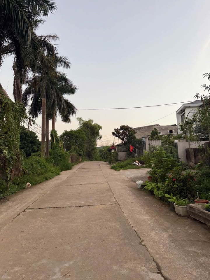 Đất thổ cư Hưng Thành 320m² giá 3 tỷ - Phù hợp làm nhà vườn