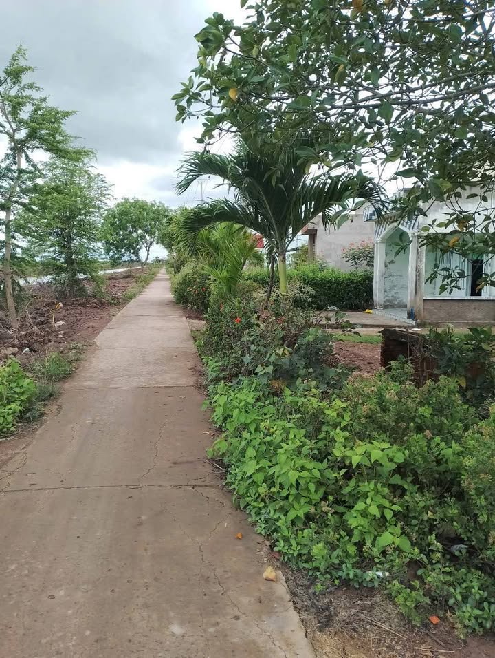 Đất Farm 6400m² tại ấp Ngã Tư, xã Vĩnh Hiệp - Giá chỉ 320 triệu - Đầu tư sinh lời ngay!