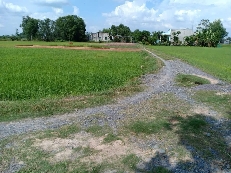 Đất thổ cư Hòa Khánh Đông 125m² giá 750 triệu - Sổ đỏ chính chủ!