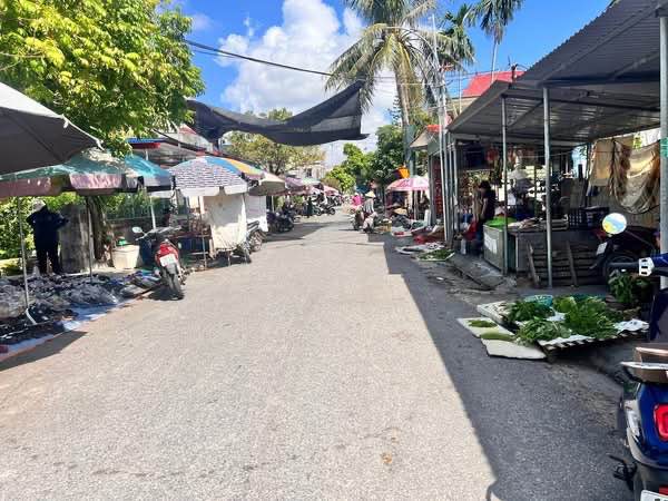 Lô đất 100m² Tân Linh, Kiến Thụy giá chỉ 2.5 tỷ - Tiềm năng tăng giá cực mạnh!