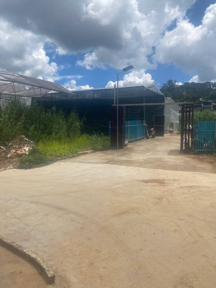 Đất nền Kim Đồng, Đà Lạt 60m² giá 1 tỷ - Cơ hội sở hữu ngay!