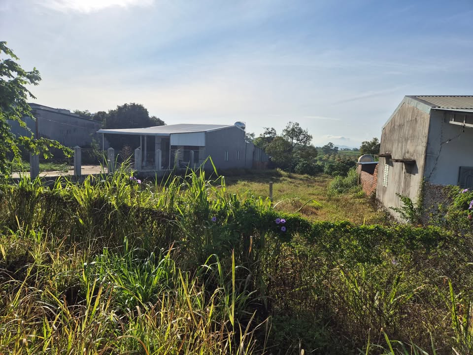 Đất nền mặt tiền tỉnh lộ 691, Ea Kar, 600m² giá 1.45 tỷ - Đầu tư sinh lời ngay!