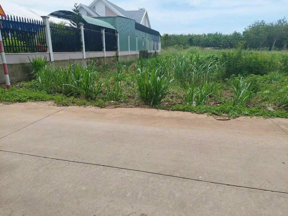 Đất nền biệt thự tại Thị Trấn Tân Bình, Bình Dương 565m² giá 3.3 tỷ - Sổ đỏ chính chủ