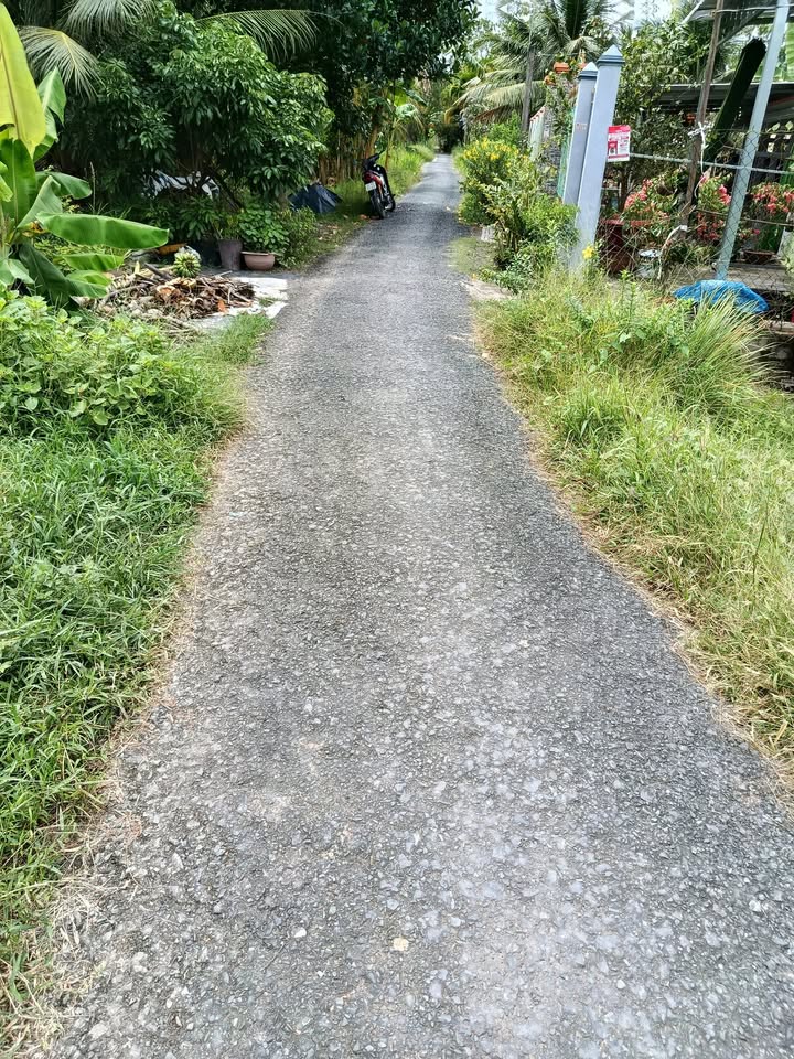 Đất nền Tân Hạnh, Vĩnh Long 115m² giá 599 triệu - Đường xe du lịch, view sông!