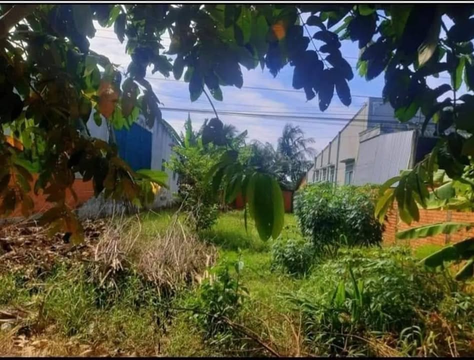 Đất Mặt Tiền Kinh Doanh Nhơn Phú, Vĩnh Long 243.5m² - Giá 850 triệu, Sổ Hồng Chính Chủ!