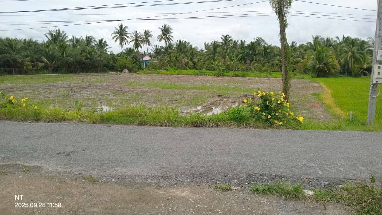 Đất nền Mang Thít Vĩnh Long 300m² giá 460 triệu - Cơ hội đầu tư hấp dẫn!