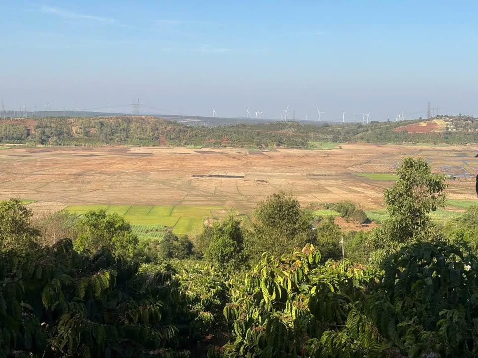 Đất nền 1.500m² view ruộng tại P. Hội Phú, Gia Lai - Đầu tư lý tưởng chỉ 1.35 tỷ!