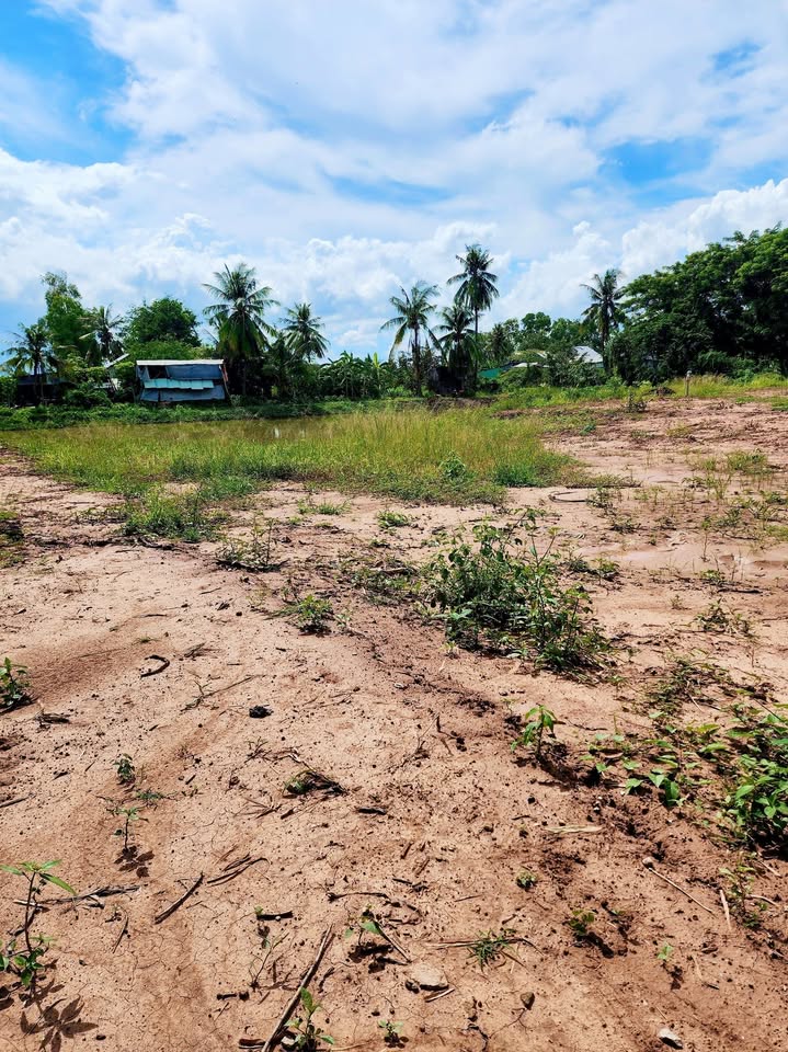 Đất Farm 5 công 1 tại Vĩnh Hòa, Tân Châu - Giá chỉ 200 triệu!