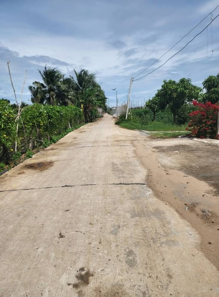 Đất vườn 1600m² tại xã Lê Chánh, Tân Châu - Giá tốt, sổ đỏ chính chủ!