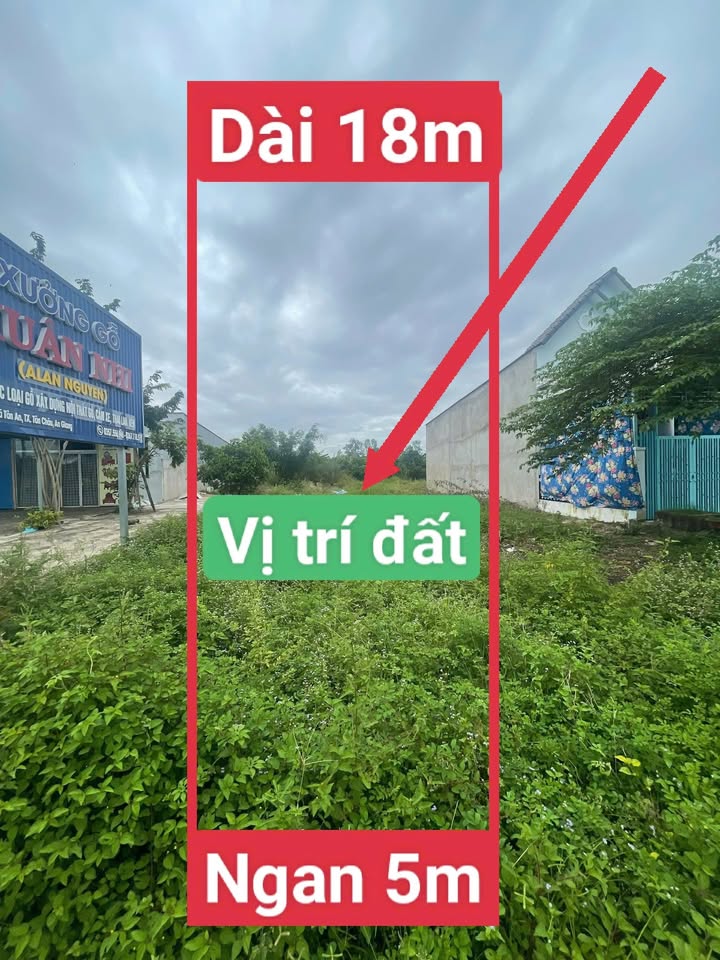 Đất nền Tân Châu An Giang 91m² giá chỉ 1.6 tỷ - Đầu tư sinh lời ngay!