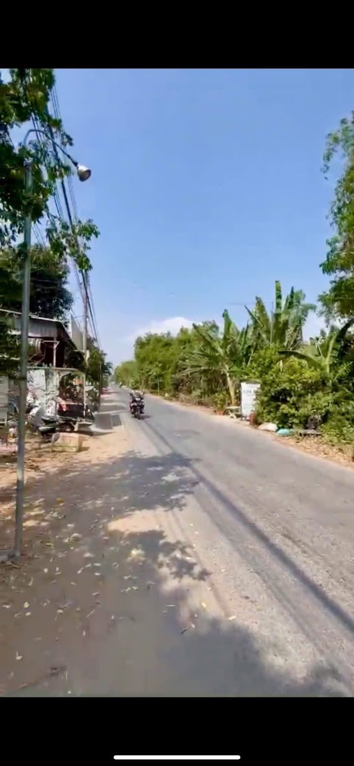 Đất vườn 4200m² tại Tân Thạnh An Giang giá 300 triệu - Đầu tư sinh lời ngay!