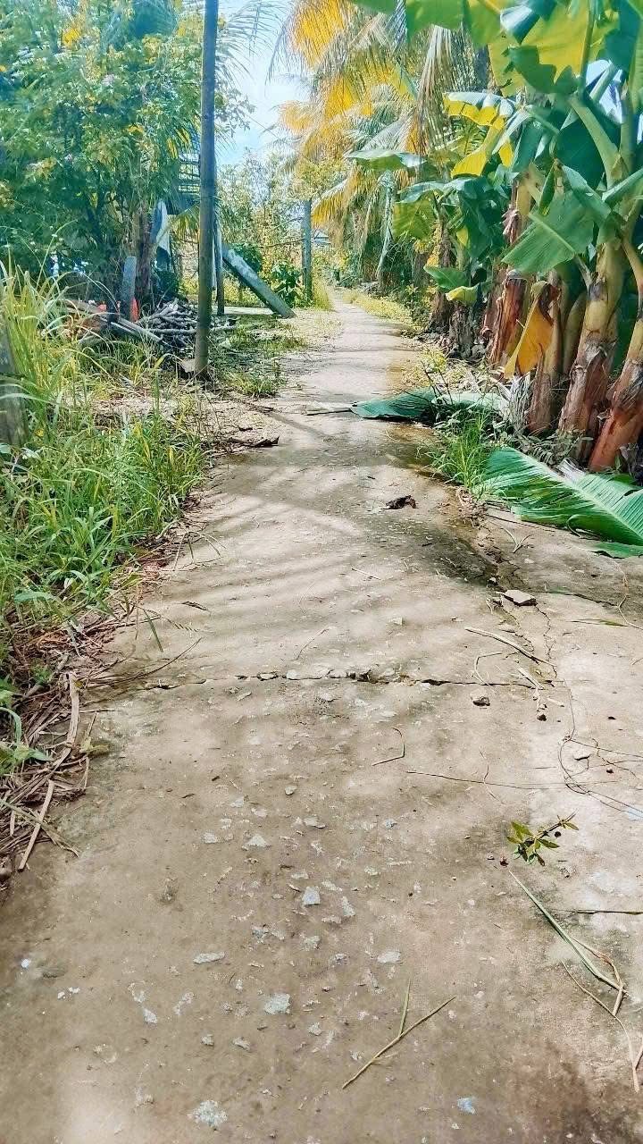 Đất vườn Tân Thạnh, Tân Châu 3995m² chỉ từ 300 triệu - Cơ hội đầu tư sinh lời!