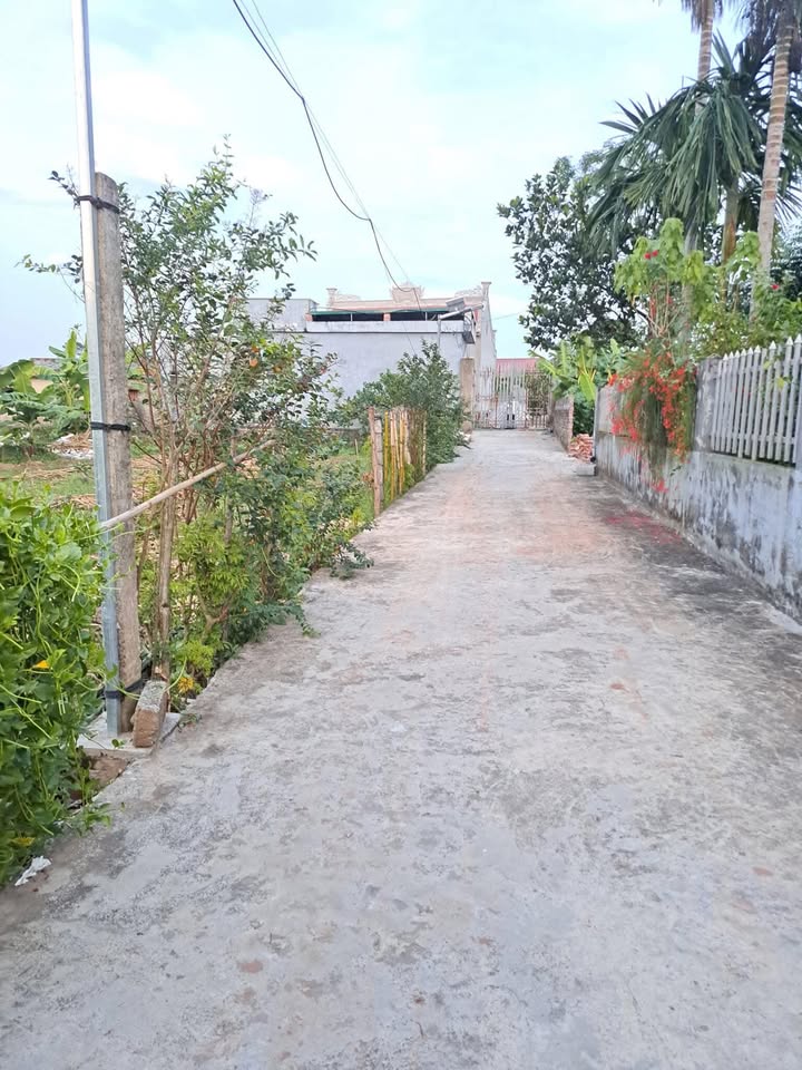 Đất nền thôn Mai, xã Hiệp Lực, huyện Ninh Giang - 128.6m² giá thỏa thuận - Cơ hội đầu tư tuyệt vời!