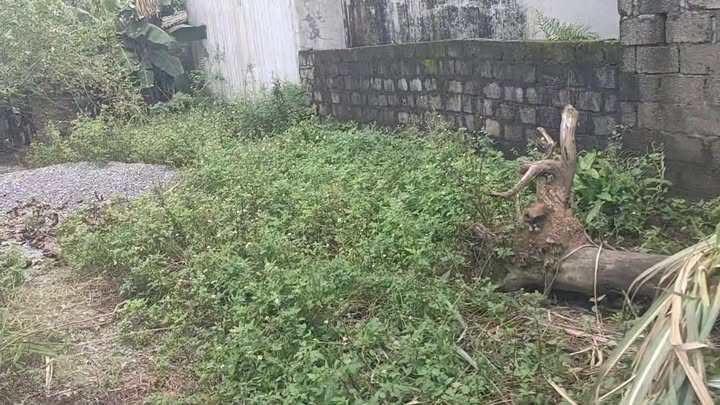 Đất thổ cư 301m² tại xã Sơn Thành, Nho Quan chỉ 2.9 tỷ - Đầu tư sinh lời ngay!