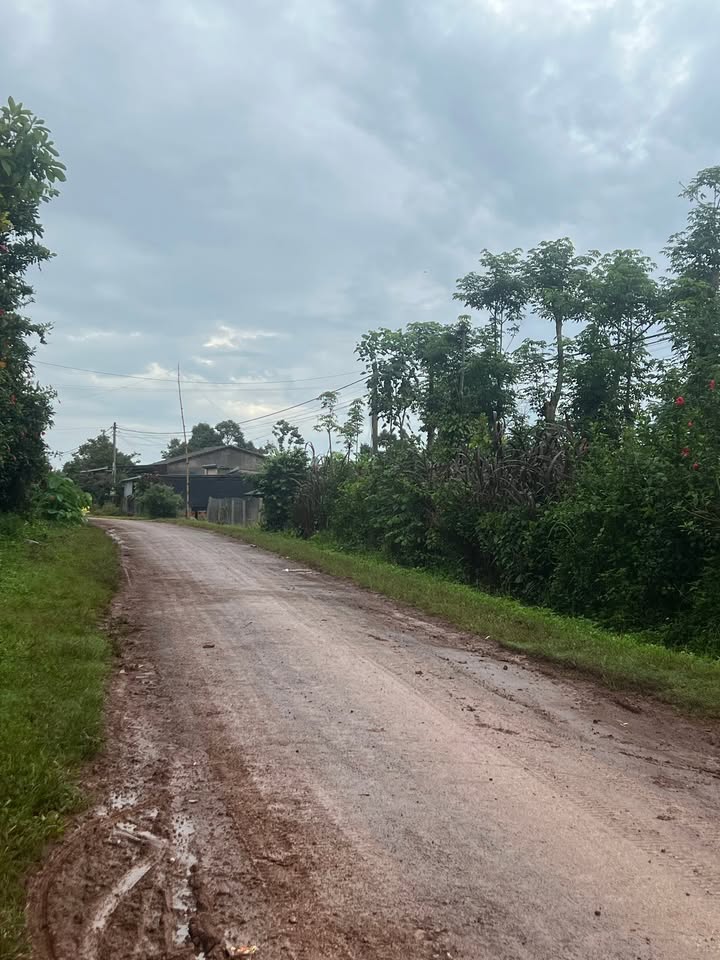 Đất nền Đắk Song 1170m² giá 1.1 tỷ - Cơ hội đầu tư tuyệt vời!