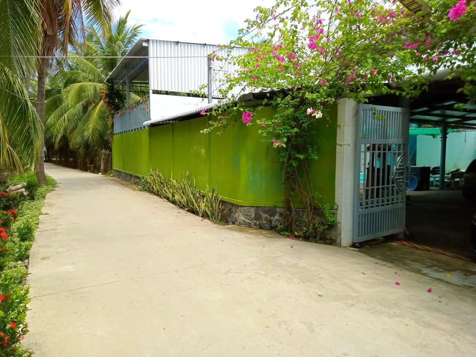 Nhà vườn Ấp Tân Bình, huyện Gò Công Tây 786m² giá 1.9 tỷ - Tiện nghi đầy đủ, sẵn sàng ở ngay!